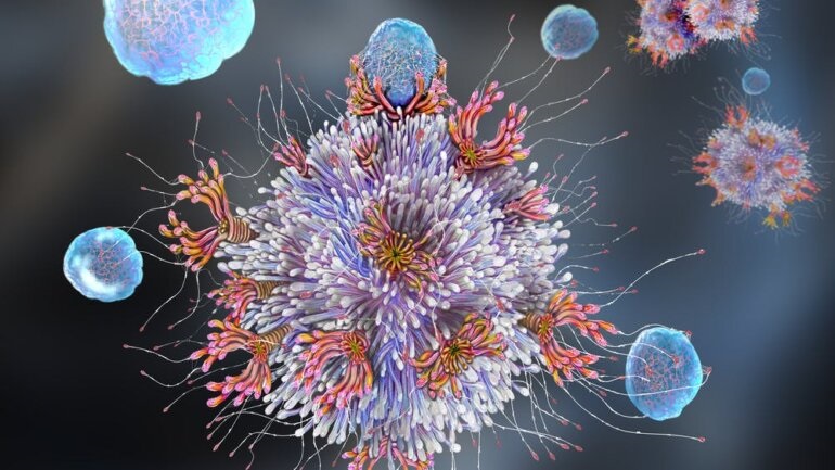 Το “προπατορικό” αντιγονικό αμάρτημα των κορωνοϊών